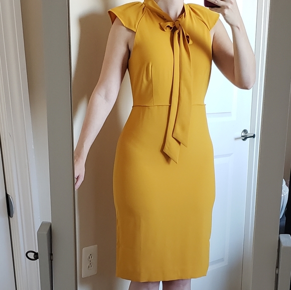 (Tall) NWT J.Crew Ruffle-Front Crepe Sheath Dress - Picture 11 of 11
